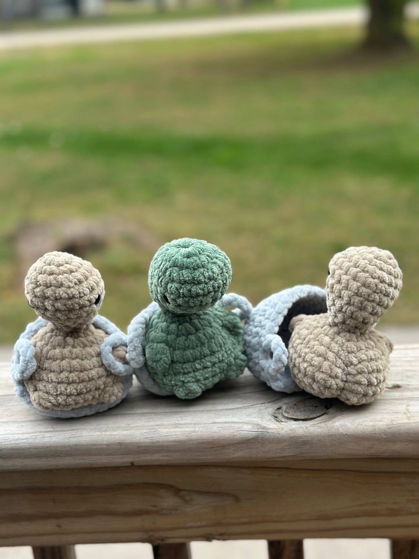 Cheeky Turtles