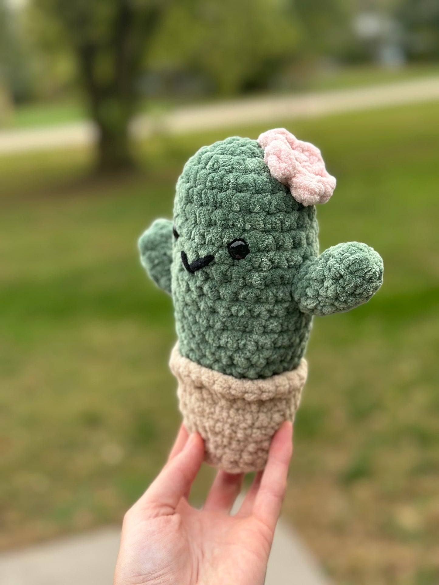 Cactus