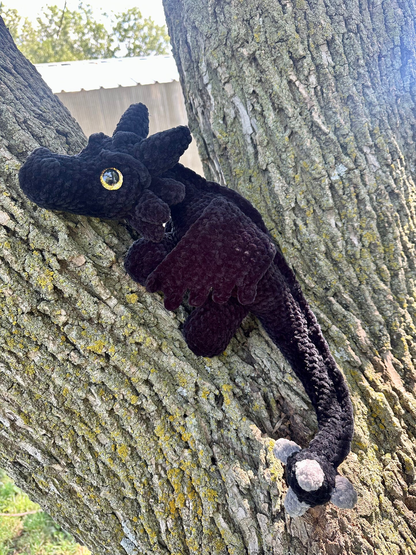Black Dragon