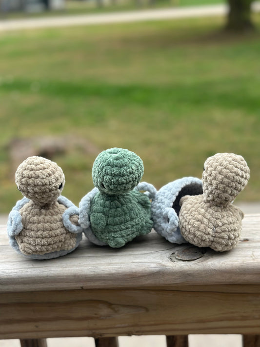 Cheeky Turtles