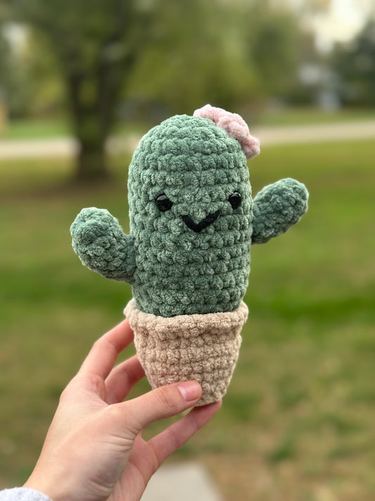 Cactus